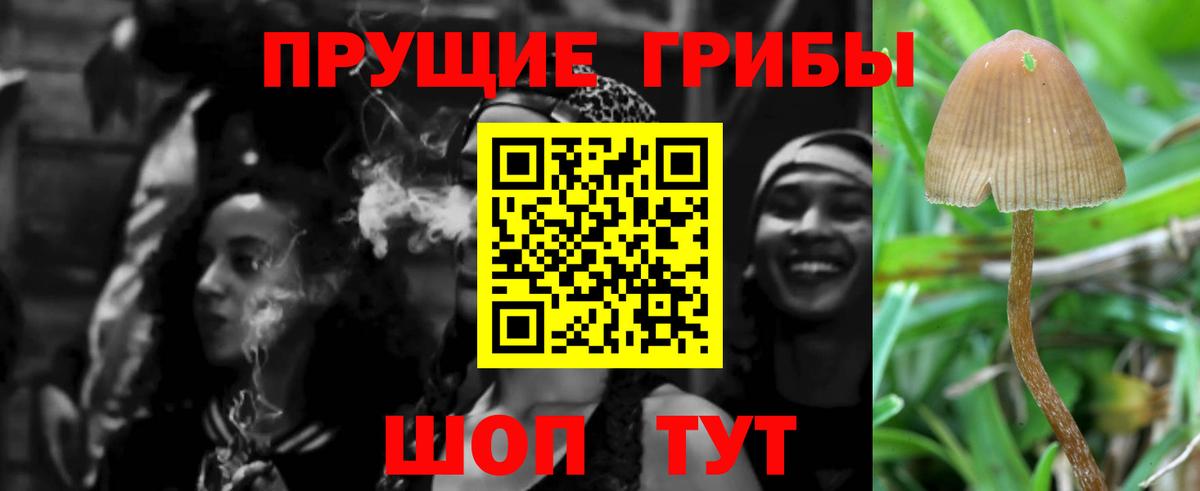 Галлюциногенные грибы MAGIC MUSHROOMS  Галлюциногенные грибы Cubensis  Вход с VPN  Тимашёвск 